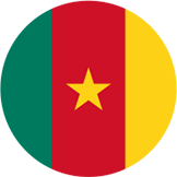 Flag of Cameroon