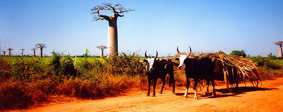 Madagascar