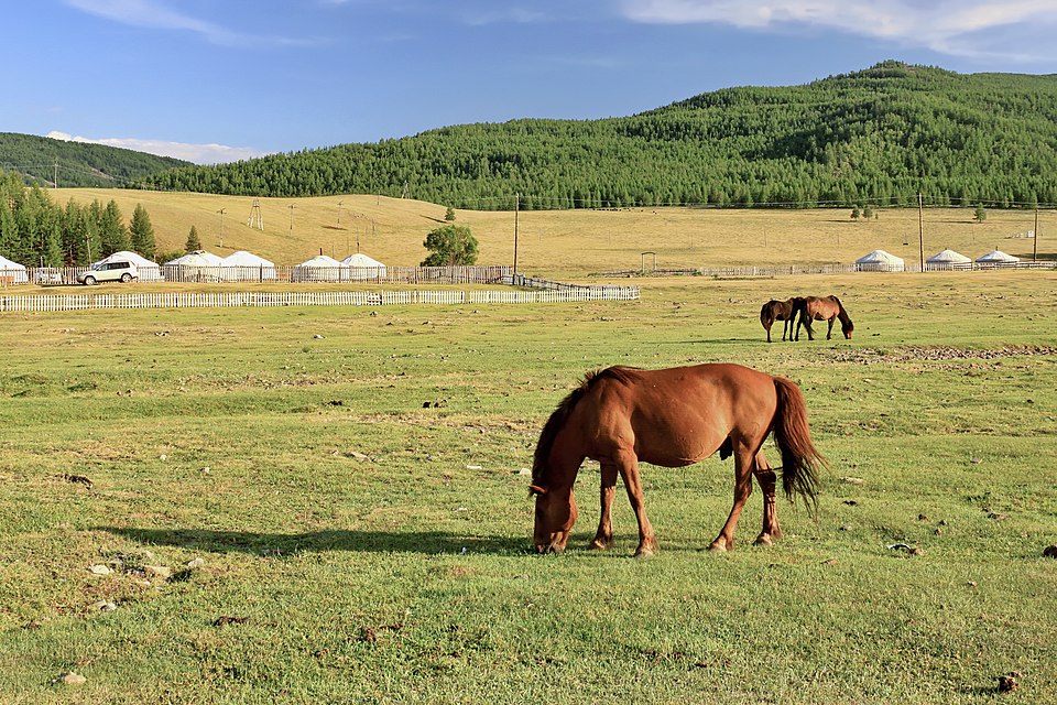 Mongolia